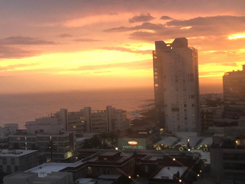 Bahia Palace, Best View And Location! 푼타델에스테 외부 사진